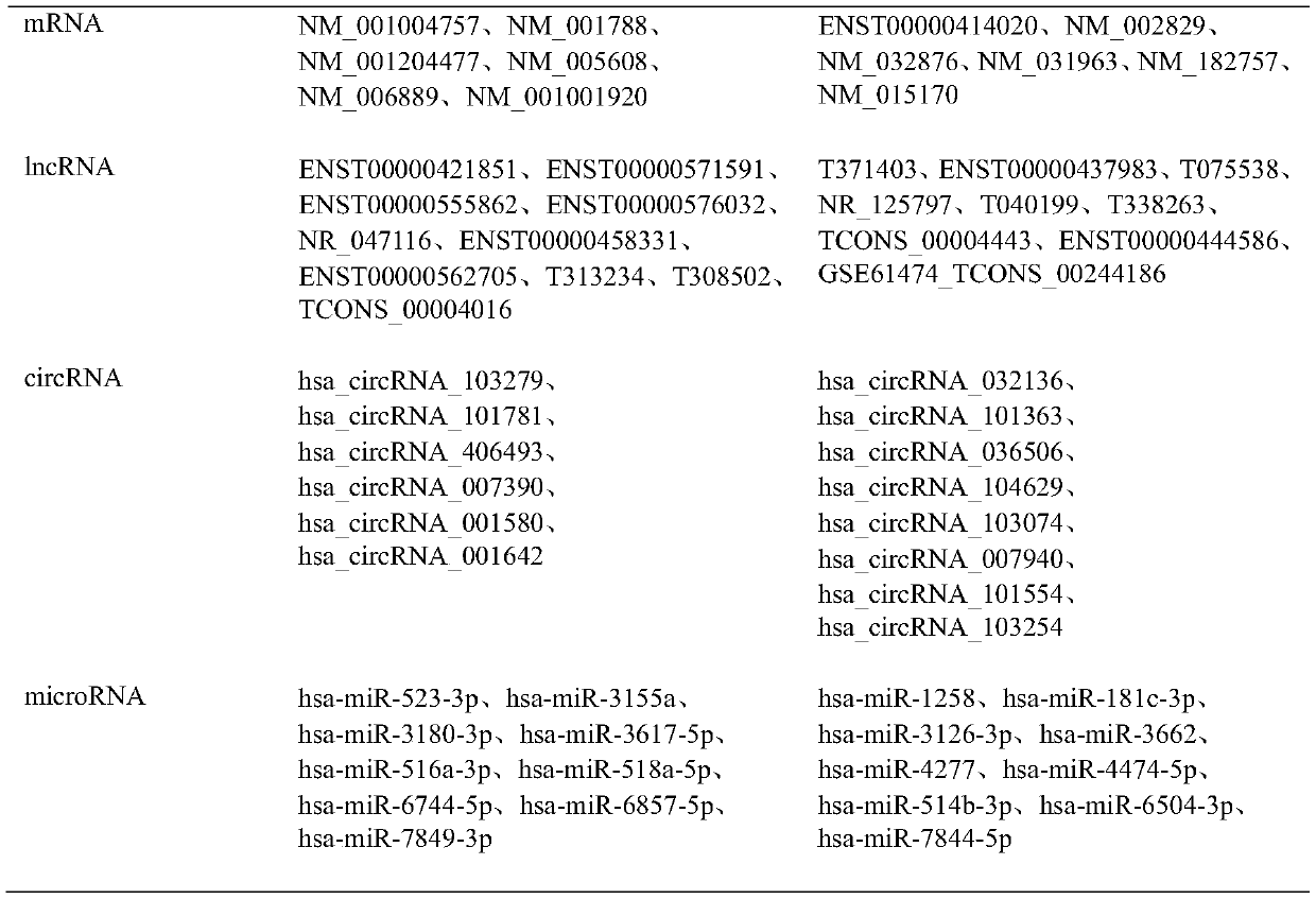 Transcriptome expression profile of activated basophilic granulocyte and construction method and application thereof