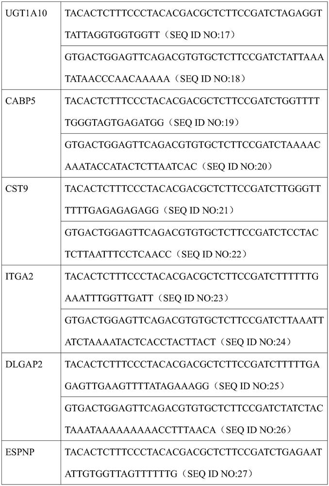 Endometrial polyp methylation marker combination, detection kit and application