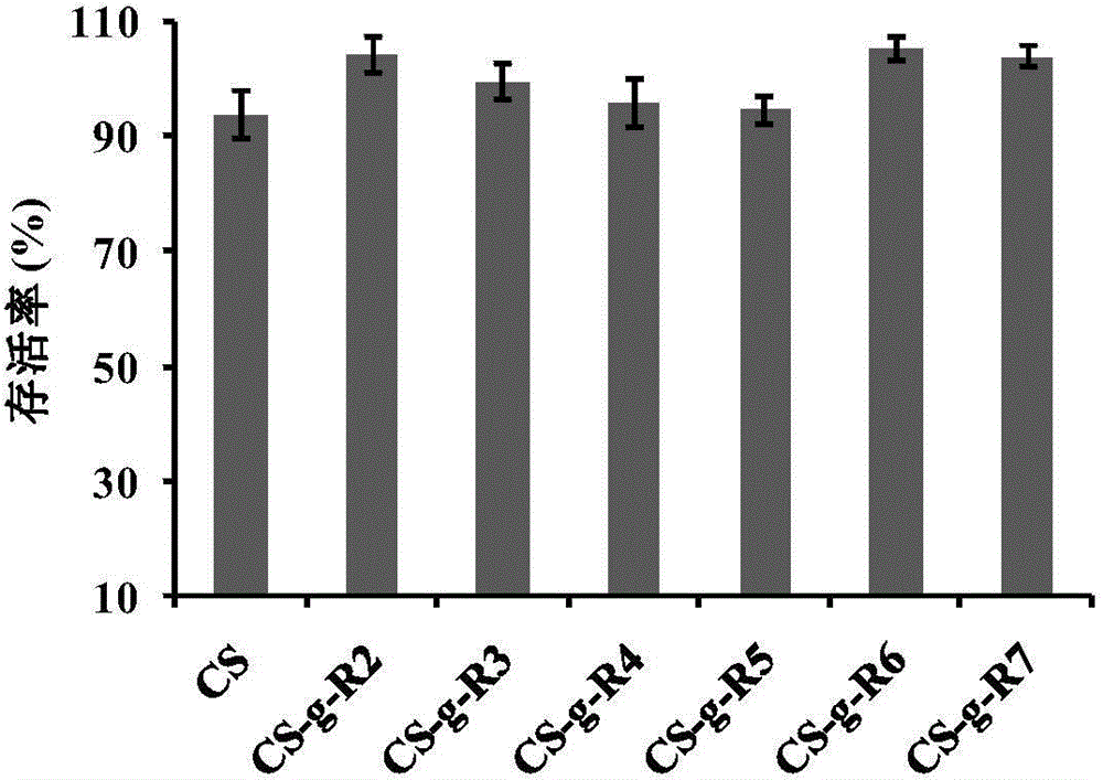 Oligoarginine covalently modified chitosan, and preparation method, screening and application thereof