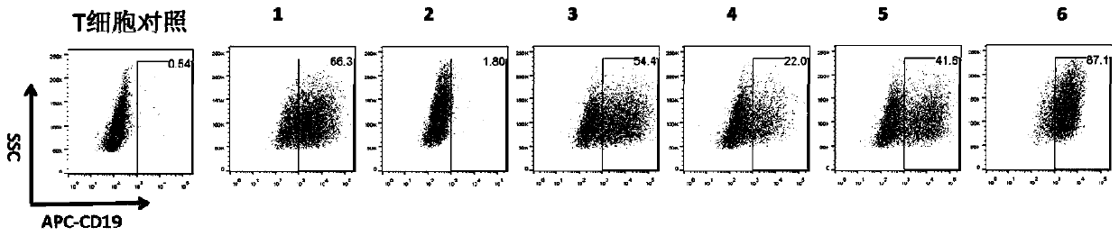 Engineered immune cell targeting CD19 and CD22 and application of engineered immune cell