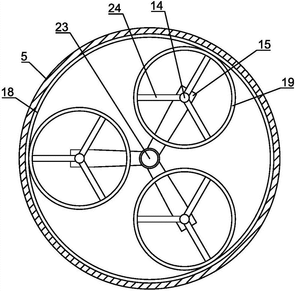 Self-rotating-type Lindera aggregata surface dirt removal device