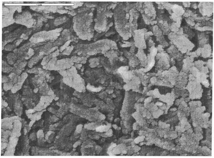 Zirconia-alumina composite oxide carrier and method for preparing same