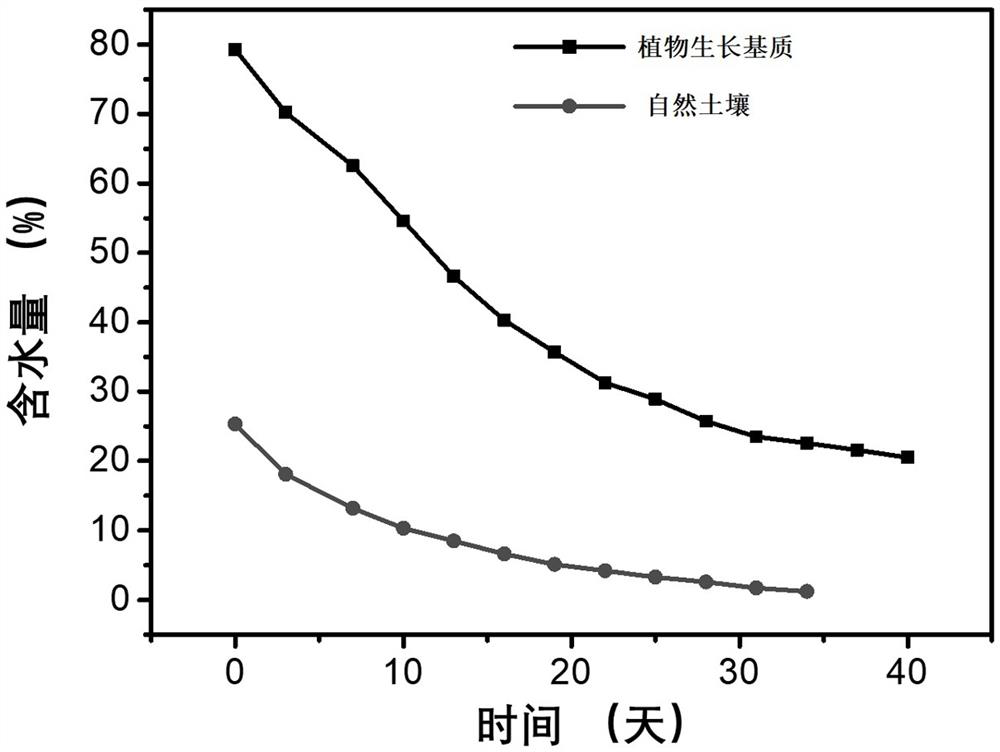 Rock slope plant growth substrate and preparation method thereof