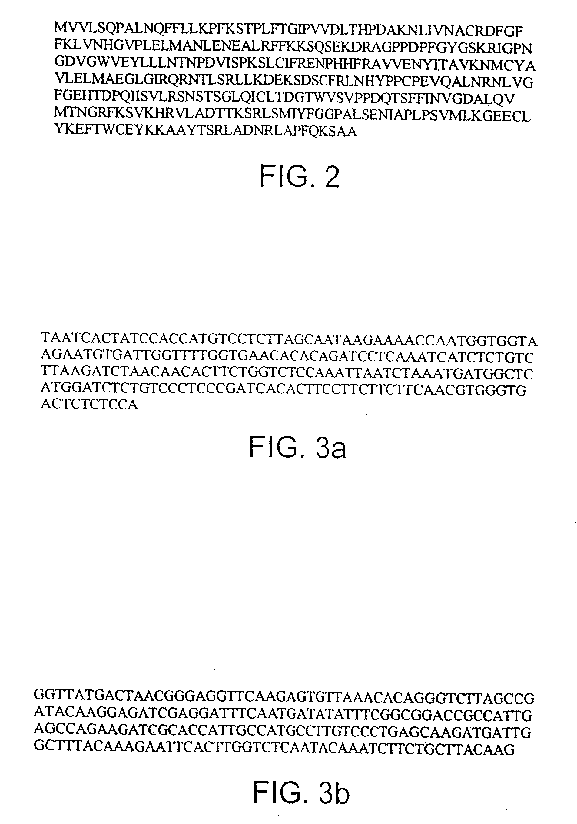 Gibberellin 2-Oxidase