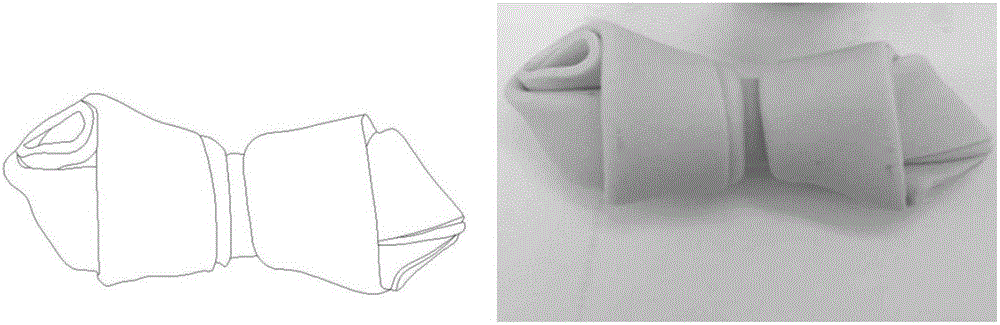 Novel pet chewing gum and preparation method thereof