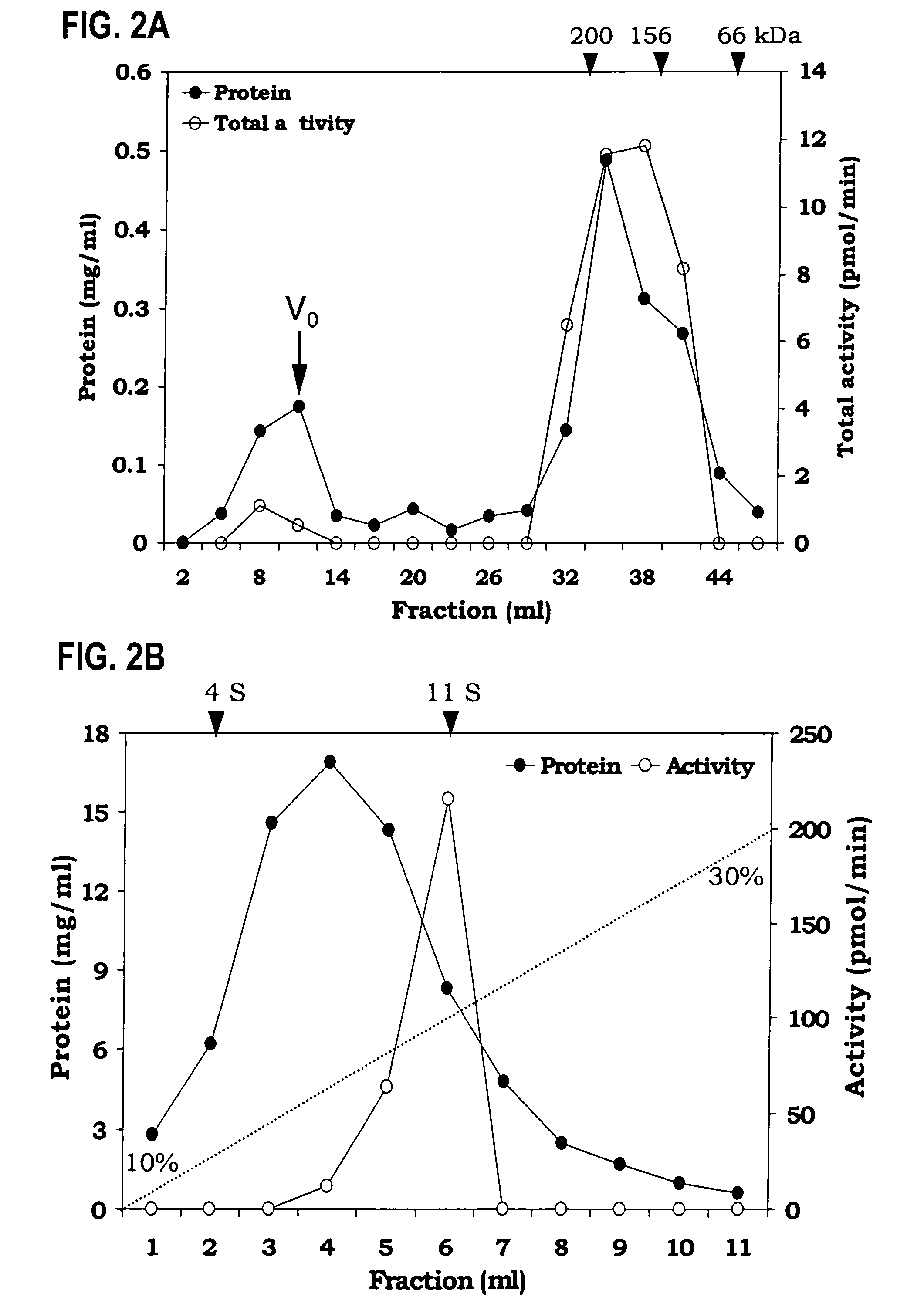 Triacylglycerol biosynthesis in the cytosol of eukaryotes