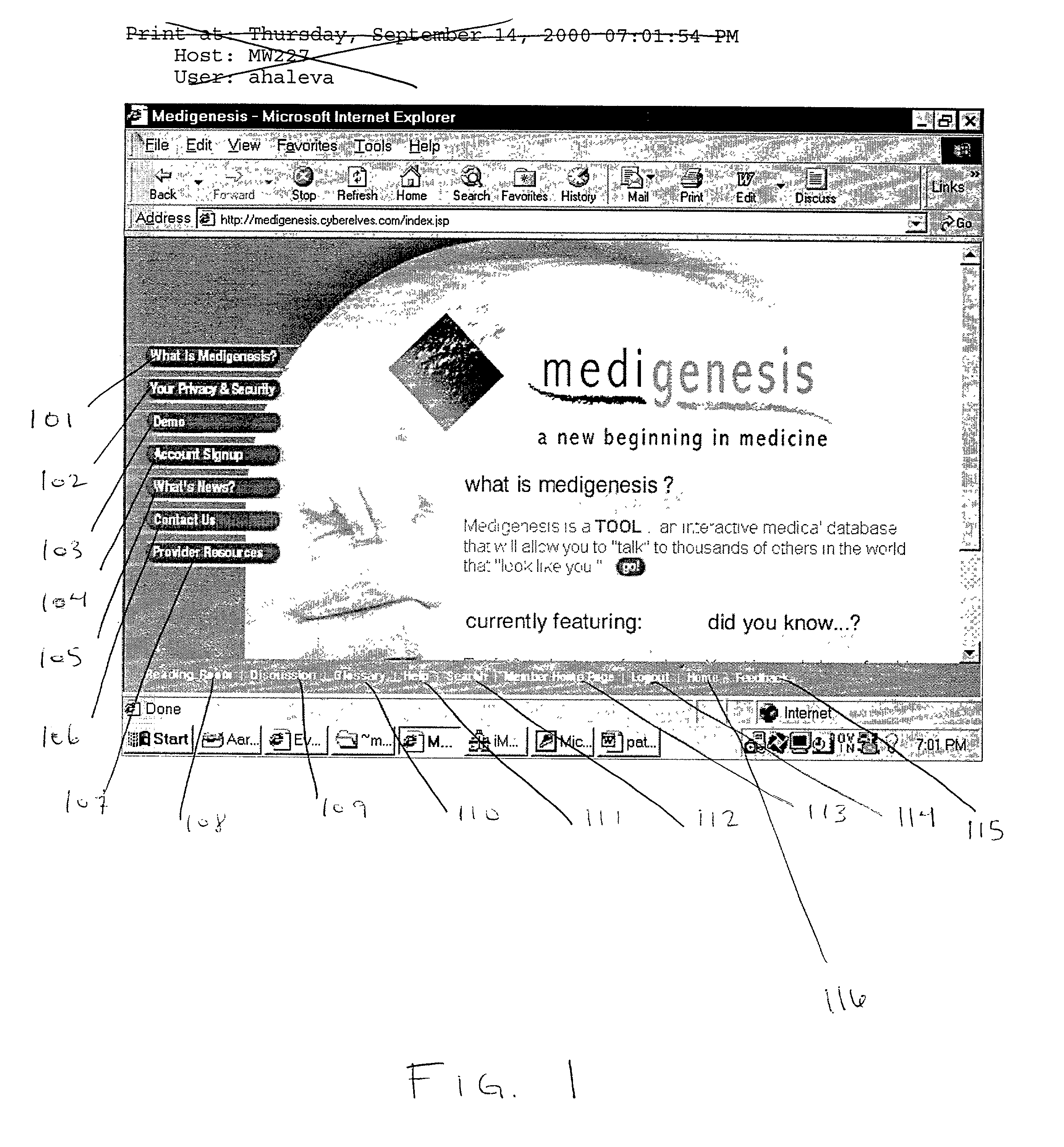 System and method for the automated presentation of system data to, and interaction with, a computer maintained database