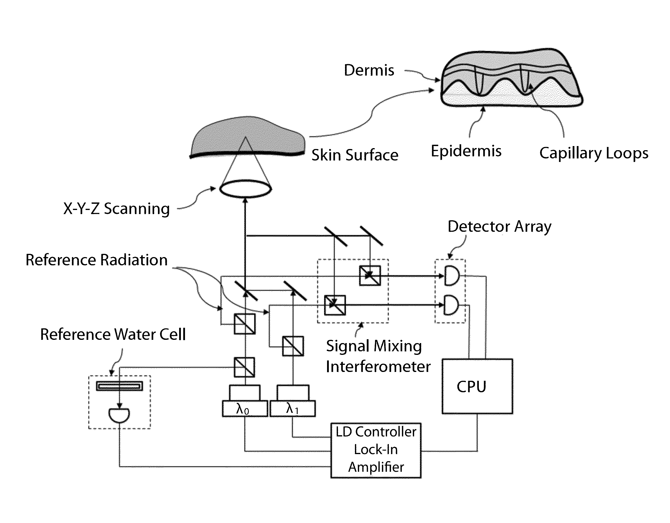 Method and Apparatus for In Vivo Optical Measurement of Blood Glucose Concentration