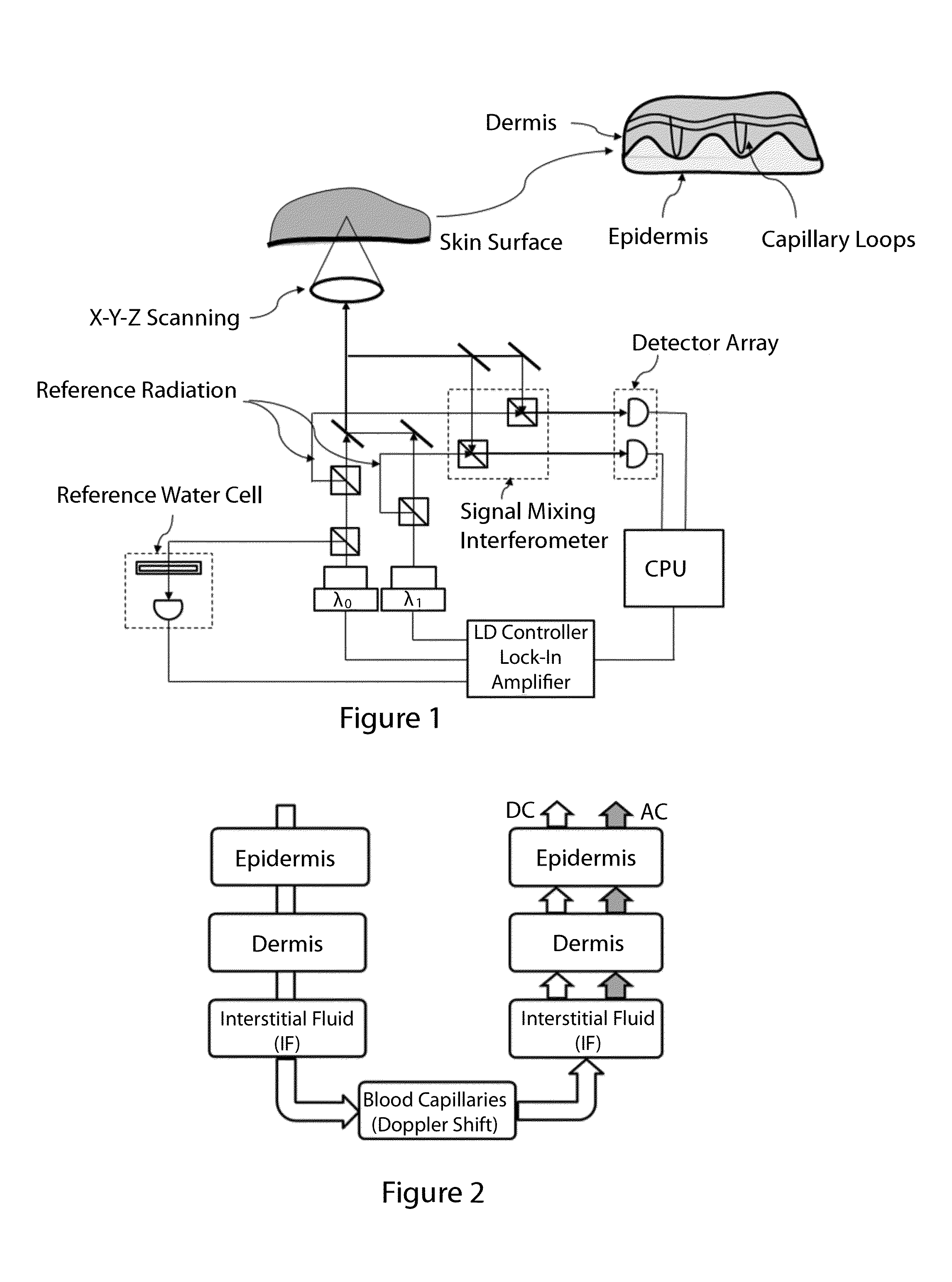 Method and Apparatus for In Vivo Optical Measurement of Blood Glucose Concentration