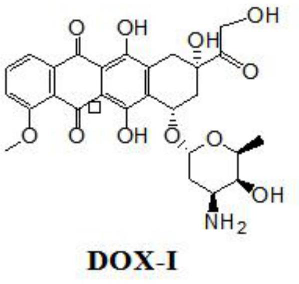 A kind of doxorubicin polyethylene glycol epothilone b conjugate and preparation method thereof