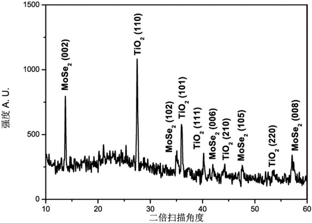 MoSe2 nanosheet composite fireworks-shaped TiO2 nanorod array and preparation method thereof