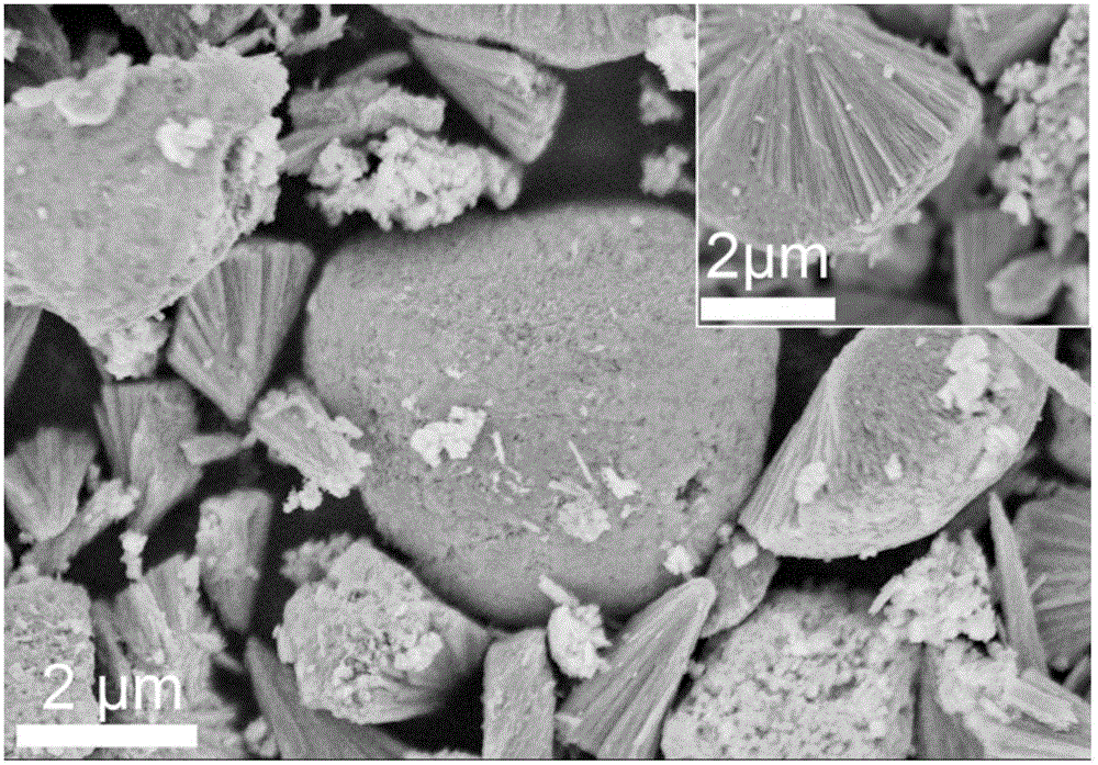 MoSe2 nanosheet composite fireworks-shaped TiO2 nanorod array and preparation method thereof