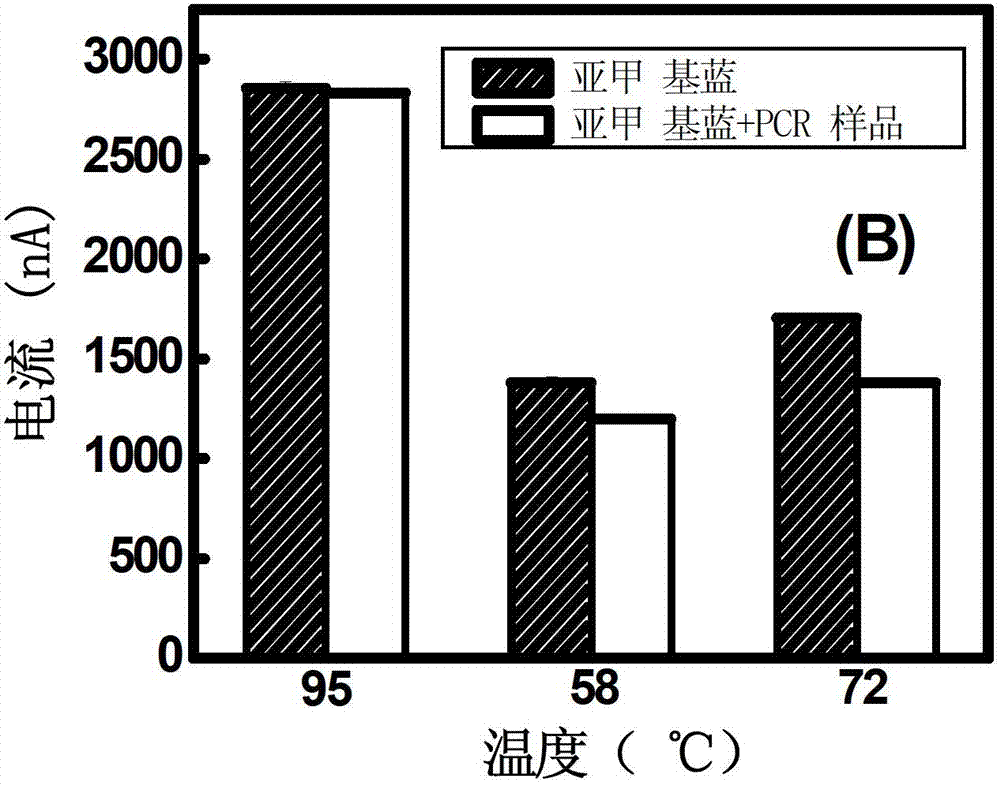 Electrochemistry ampere detection method for quantitively detecting polymerase chain reaction (PCR) based on methylene blue indicator