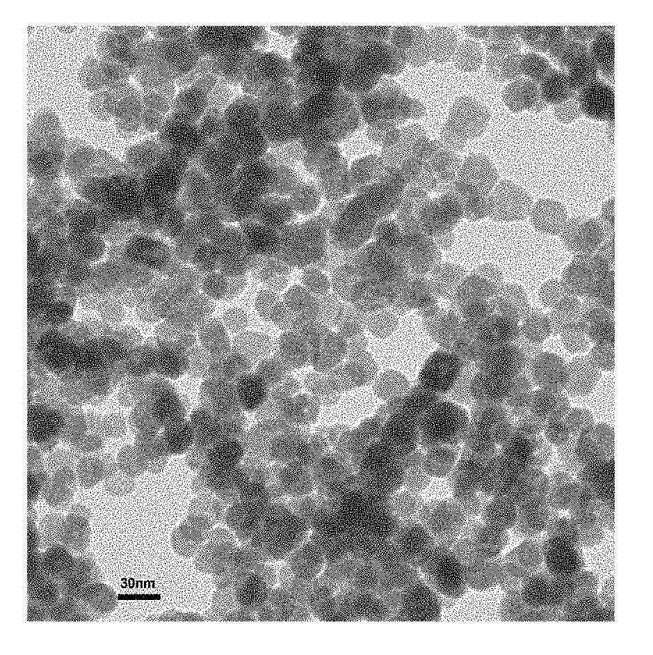 Biological composite material loaded with magnetic nanoparticles with core-shell structure, the preparation therefore and the application