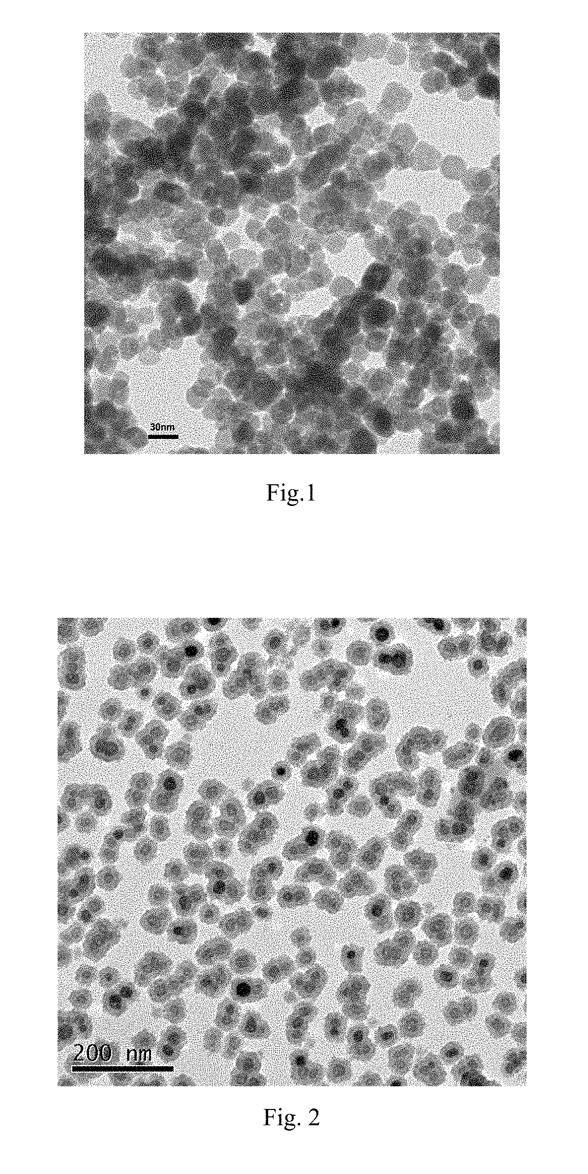 Biological composite material loaded with magnetic nanoparticles with core-shell structure, the preparation therefore and the application