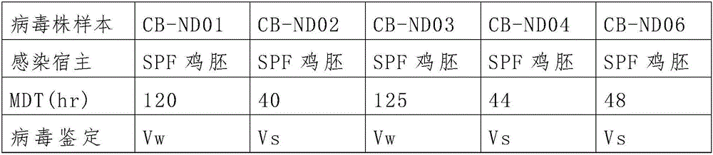 Virus strain capable of being used for preparing VII type newcastle disease vaccine and encoding gene thereof