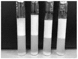 Novel preparation method of octenyl succinic starch ester