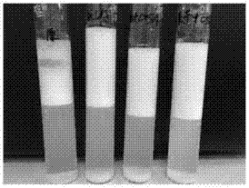 Novel preparation method of octenyl succinic starch ester