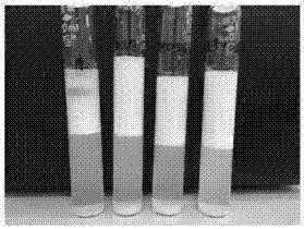 Novel preparation method of octenyl succinic starch ester