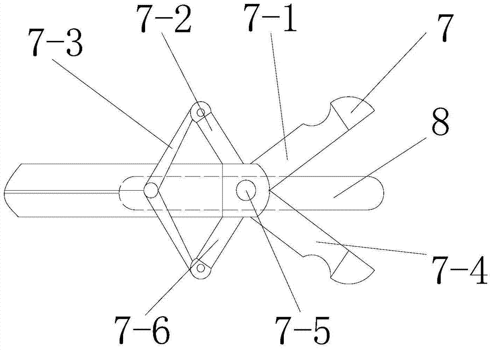 A biopsy forceps with a measuring piece