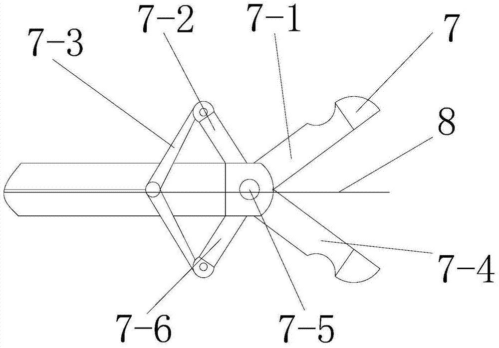 A biopsy forceps with a measuring piece