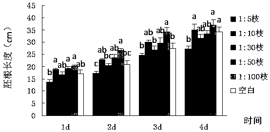 Inhibitor for growth of auxiliary species cedar wood based on Castanopsis kawakamii litter extract liquid