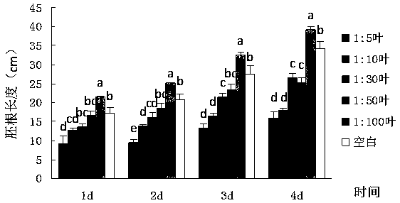 Inhibitor for growth of auxiliary species cedar wood based on Castanopsis kawakamii litter extract liquid