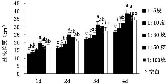 Inhibitor for growth of auxiliary species cedar wood based on Castanopsis kawakamii litter extract liquid