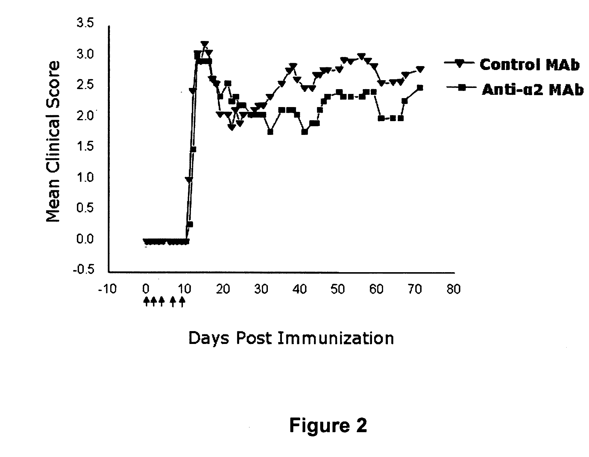 Anti-alpha2 integrin antibodies and their uses