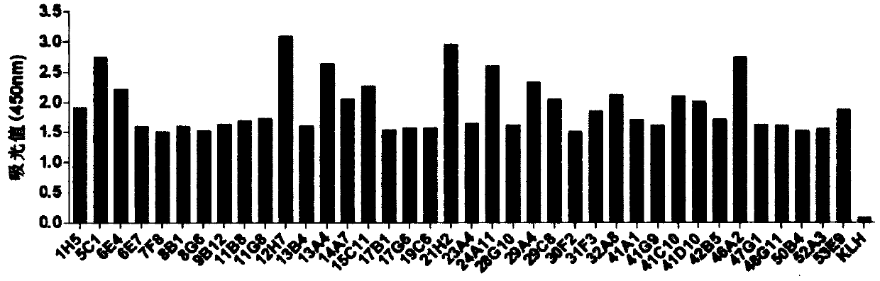 Development and application of tumor treatment agent containing antibody