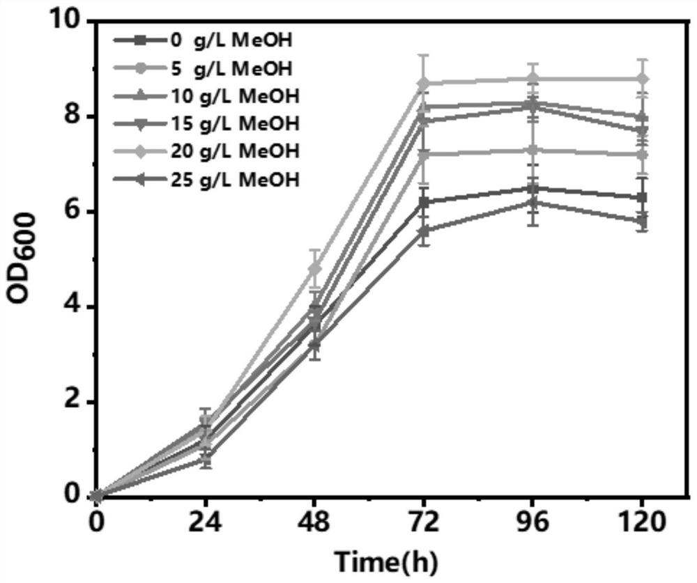 Recombinant yarrowia lipolytica genetically engineered bacterium biotransformed by methanol as well as construction method and application of recombinant yarrowia lipolytica genetically engineered bacterium