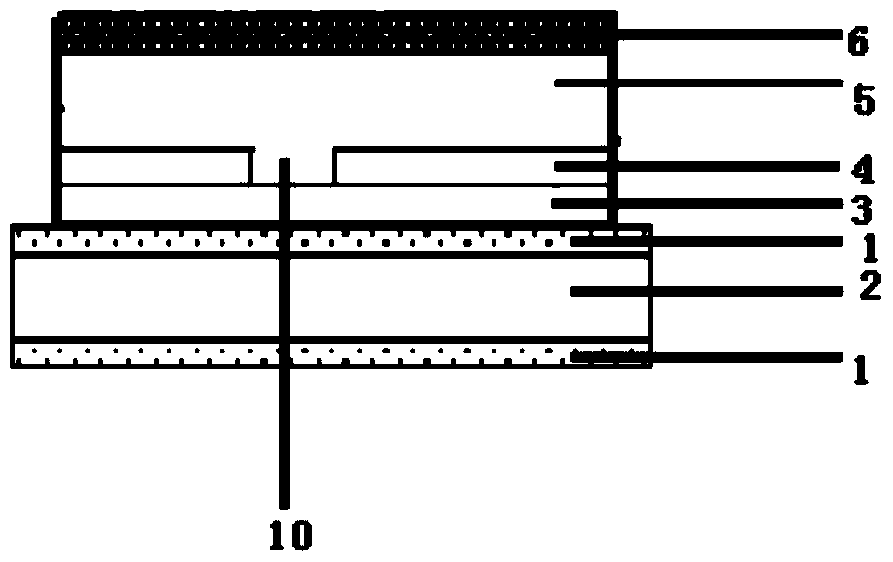 A kind of oled screen body and preparation method thereof