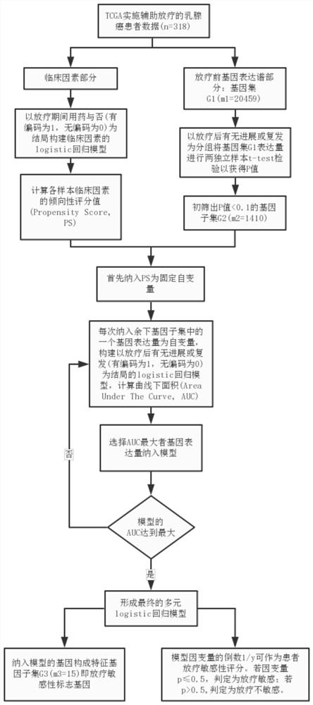 Screening method for radiosensitivity marker genes with balanced clinical confounding factors