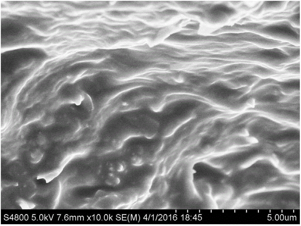 Modified nano carbon material, carbon material/polymer composite material and preparation method thereof