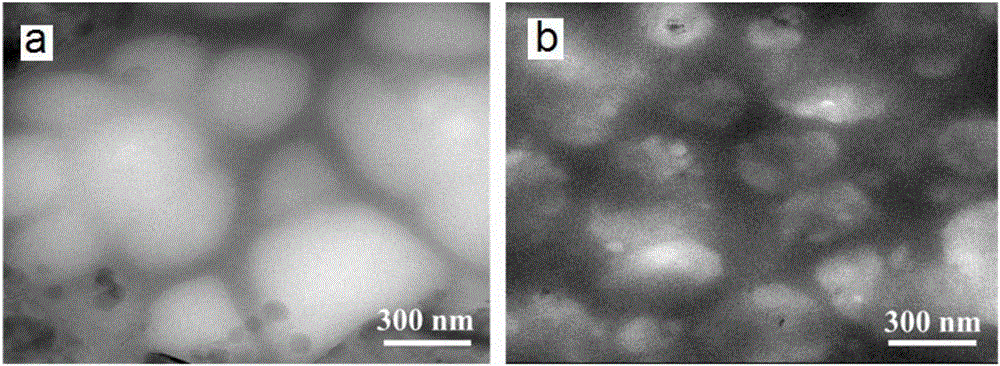 Modified nano carbon material, carbon material/polymer composite material and preparation method thereof