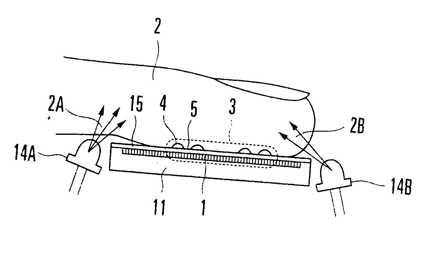 Fingerprint apparatus and method