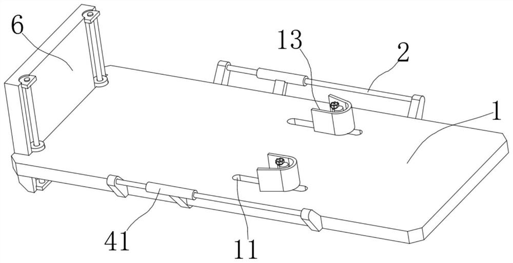 Lower limb vein radiography device and method for venous thrombosis detection