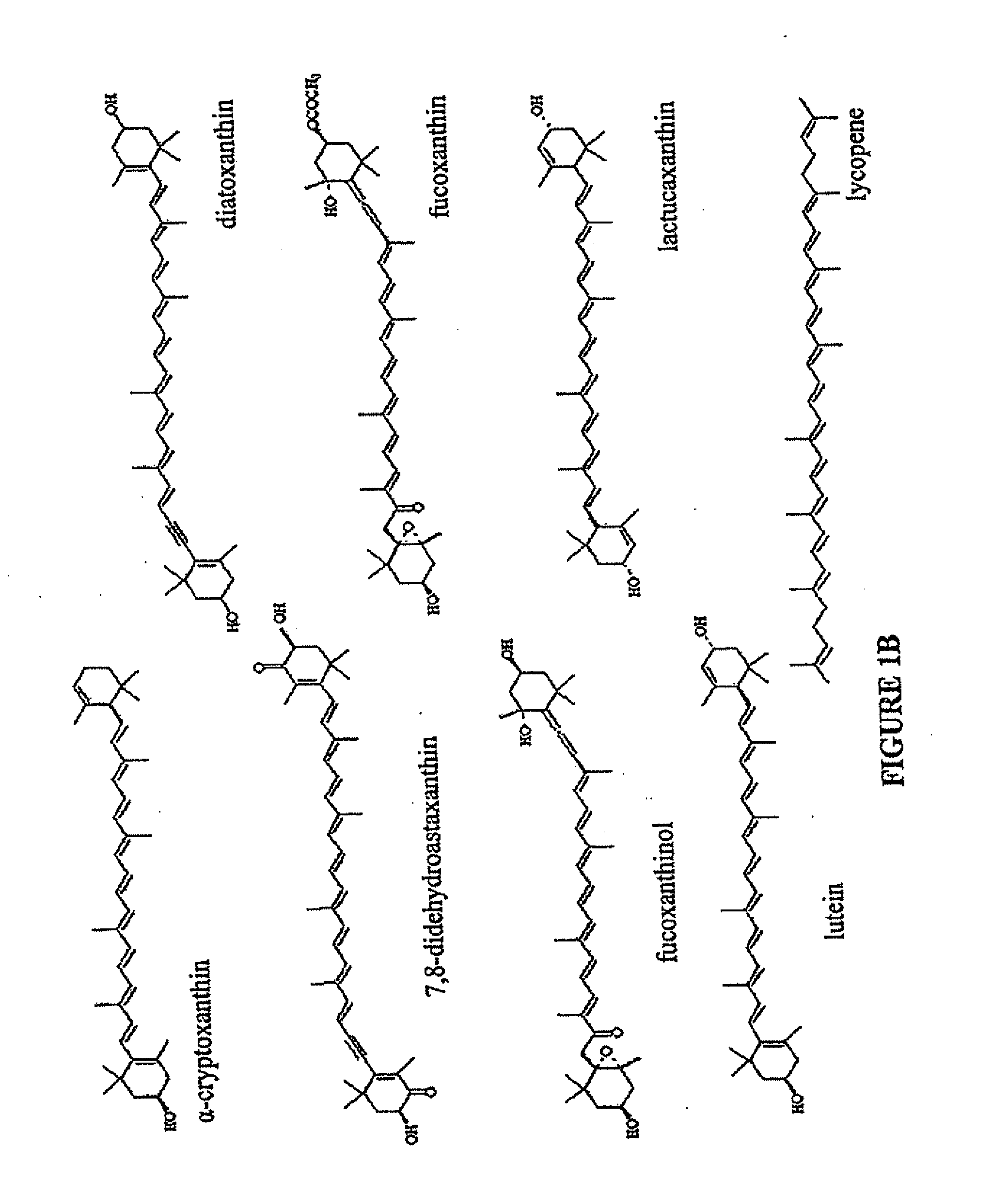 Production of carotenoids in oleaginous yeast and fungi