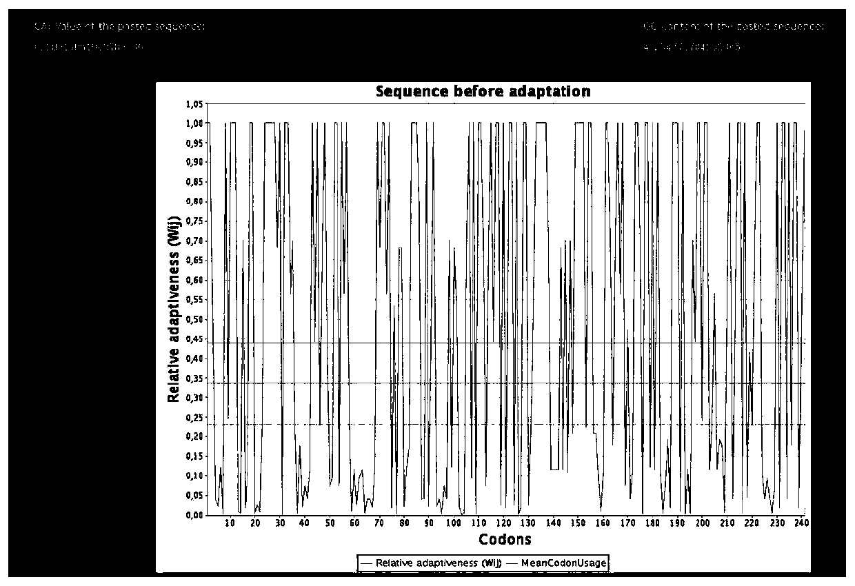 Monoclonal antibody for detecting novel coronavirus and application of preparation kit