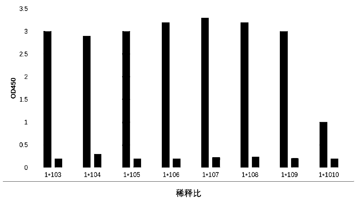 Monoclonal antibody for detecting novel coronavirus and application of preparation kit