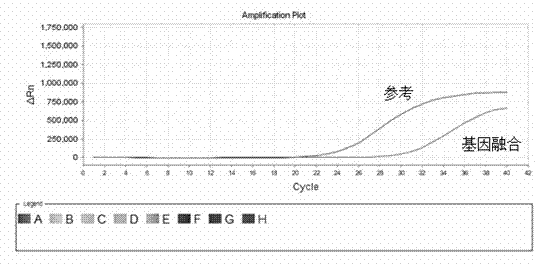 Primer, probe and detection reagent kit for detecting RET fusion gene