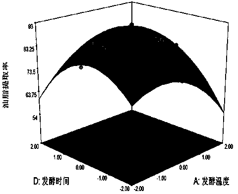 Method for preparing sesame oil by solid state fermentation aqueous enzymatic method