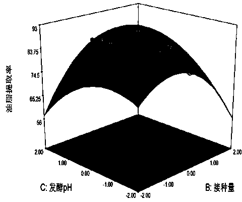 Method for preparing sesame oil by solid state fermentation aqueous enzymatic method