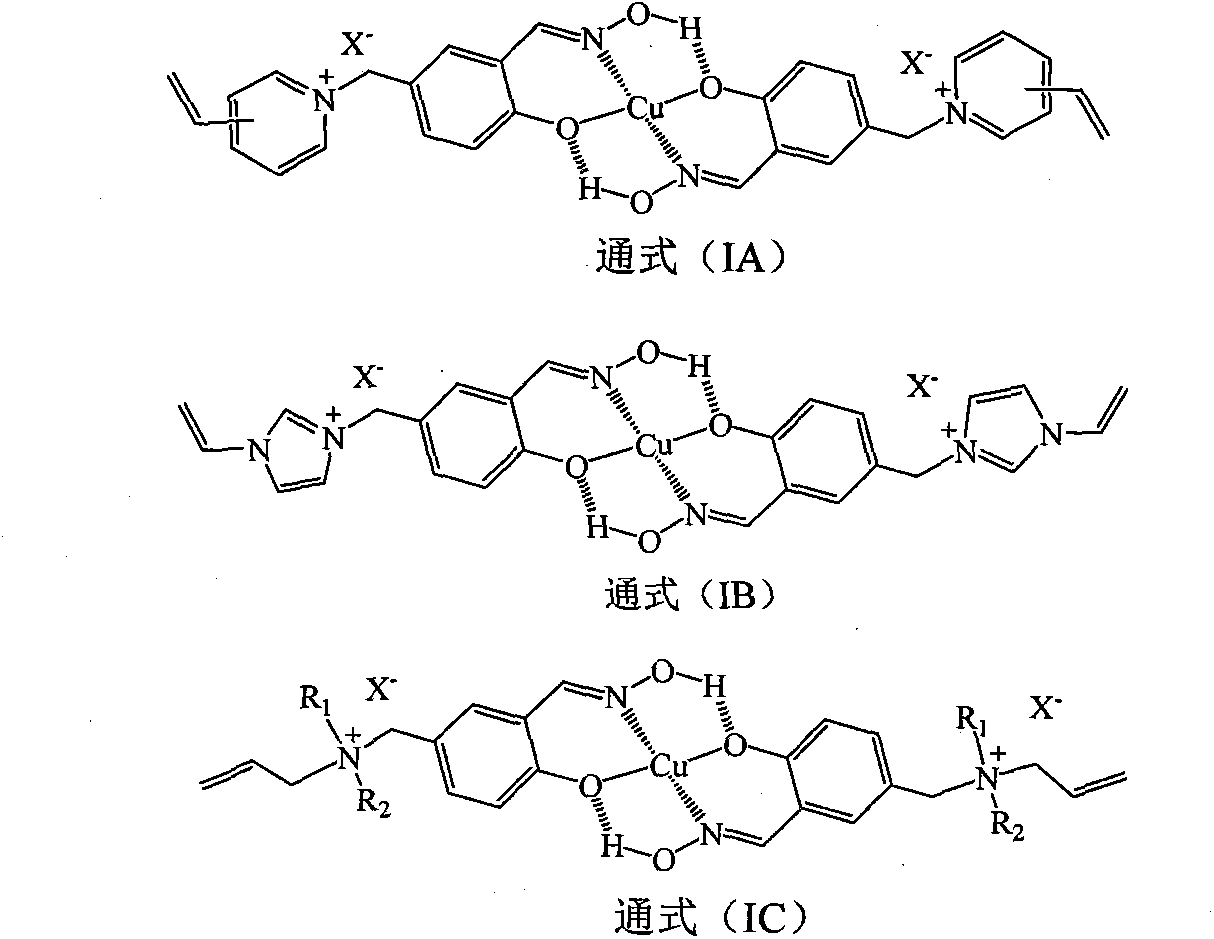 Solid phase imprinted double-position extraction agent for copper (II) and preparation method of extraction agent