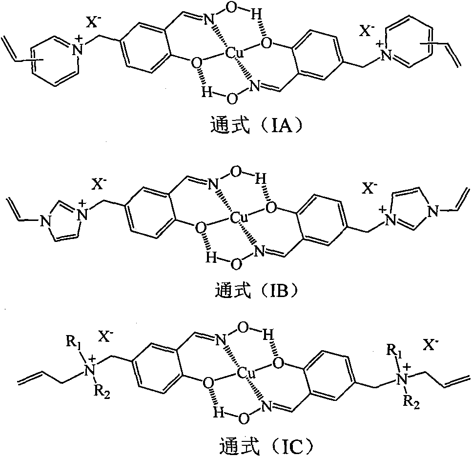 Solid phase imprinted double-position extraction agent for copper (II) and preparation method of extraction agent