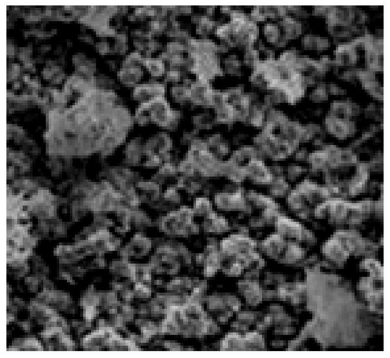 Sodium-ion battery negative electrode material and preparation method and application thereof