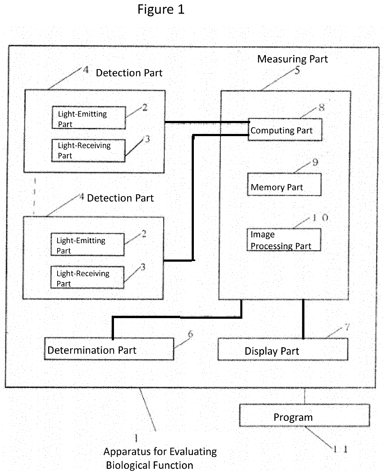 Apparatus for measuring biological function, a method and a program for measuring biological function