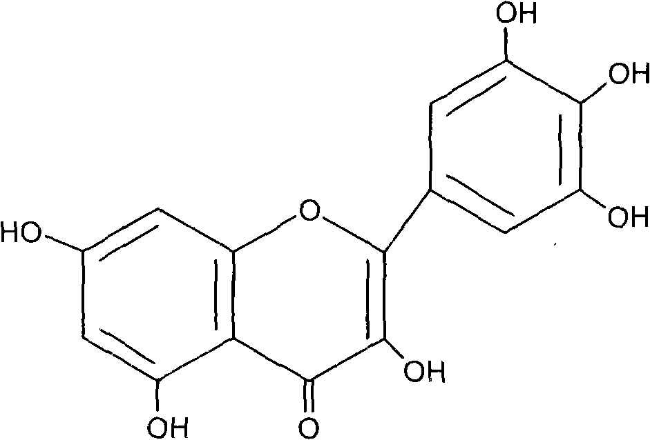 Novel preparation of myricetin