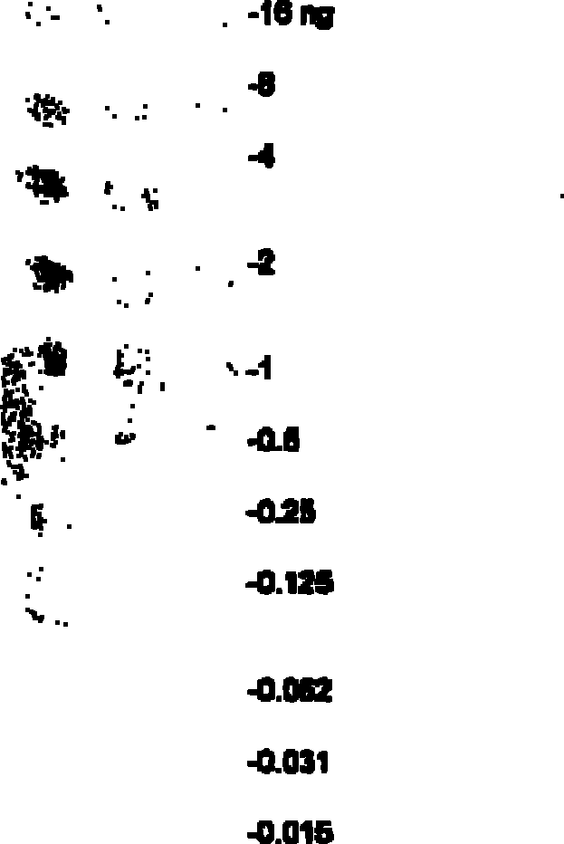 Method for detecting dot-ELISA of principally outer membrane protein of vibrio vulnficus gene