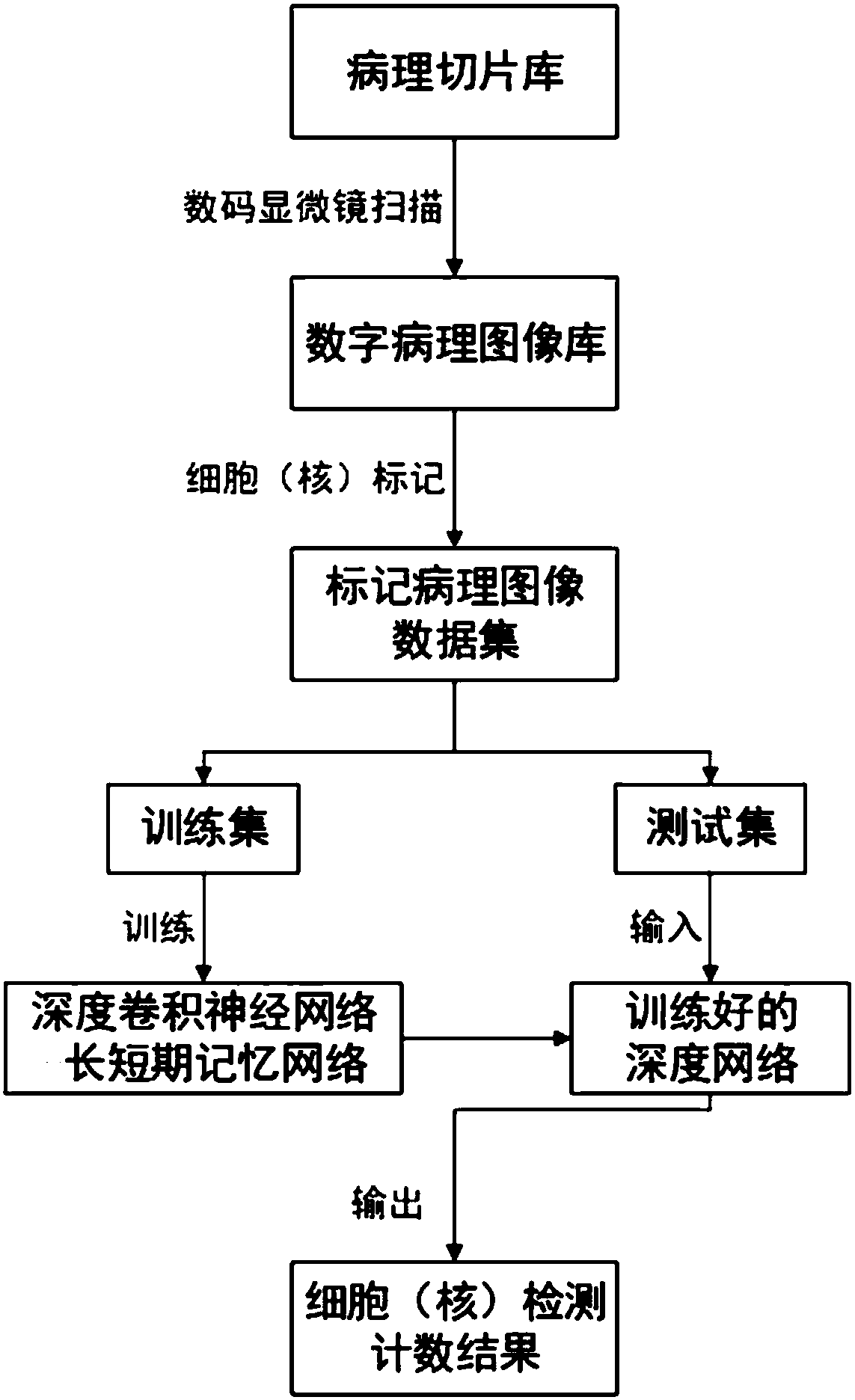 Deep learning-based cell detection counting method and system